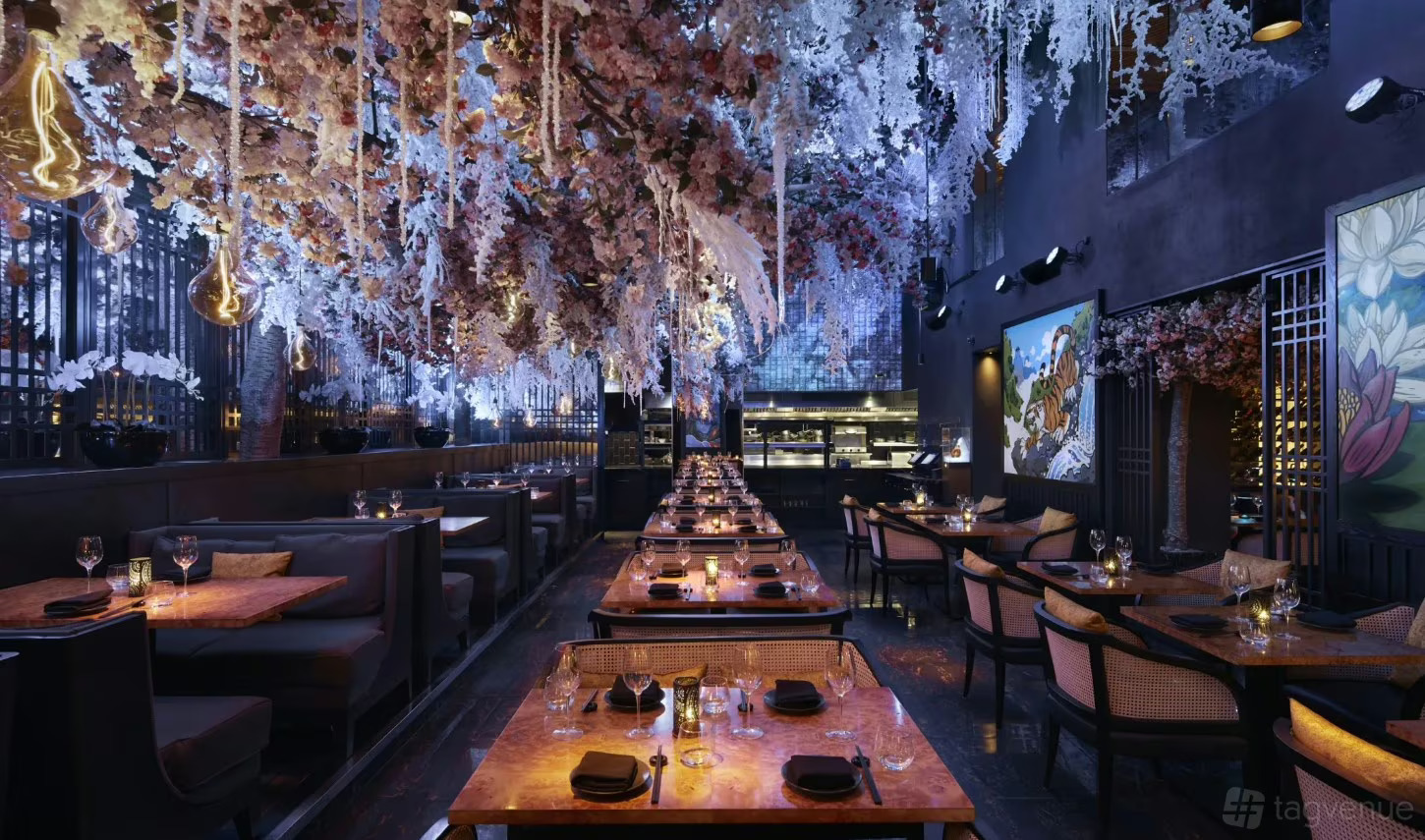 widen 1680 noupsize (15)