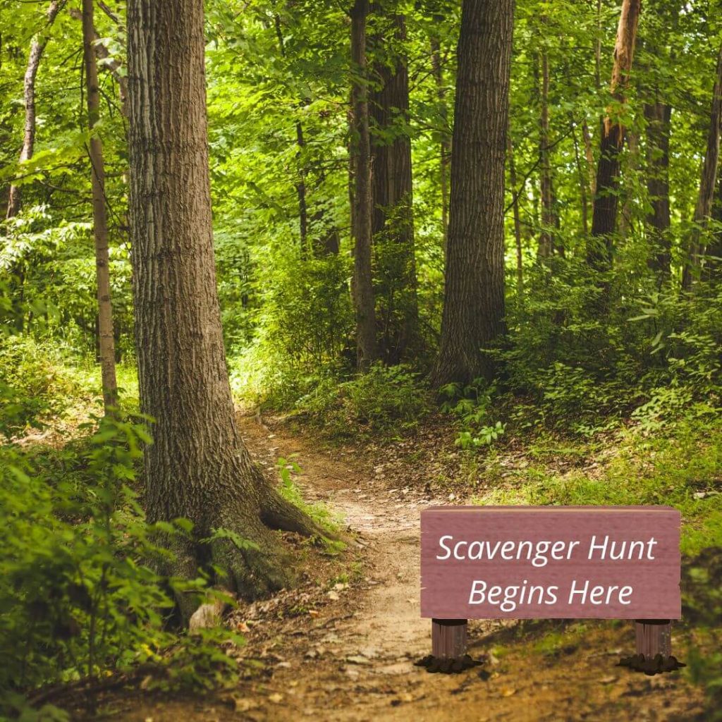 Scavenger Hunt Virtual