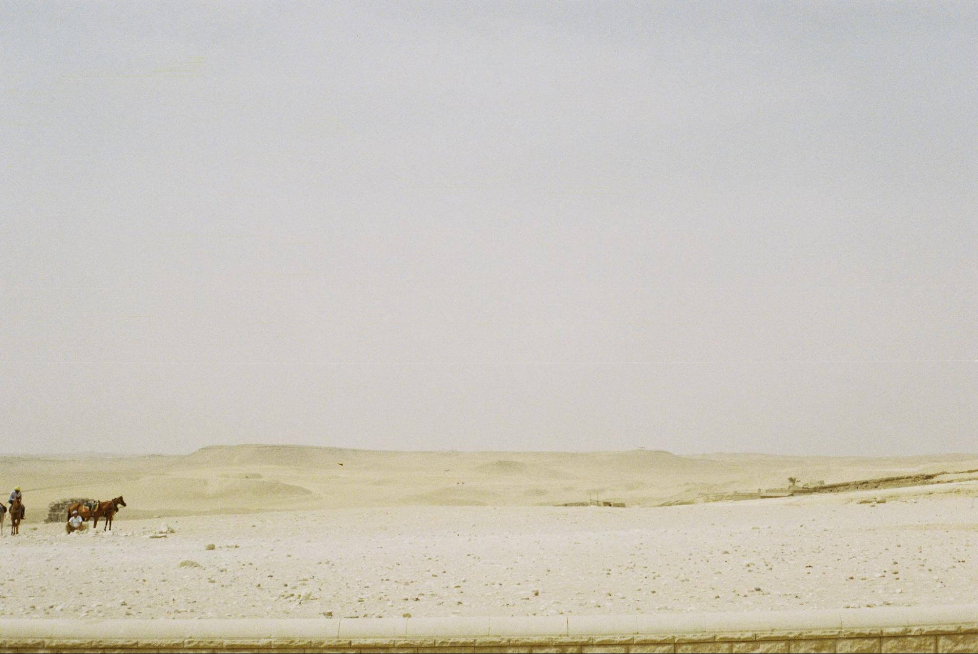 The Essential Guide to Natural Light Photography - Tagvenue Blog