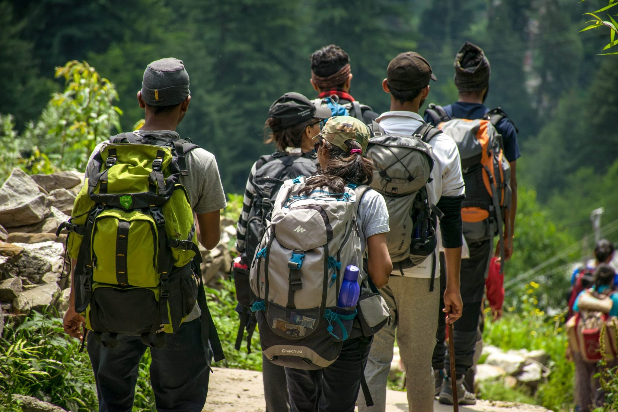 people enjoying a hike in nature