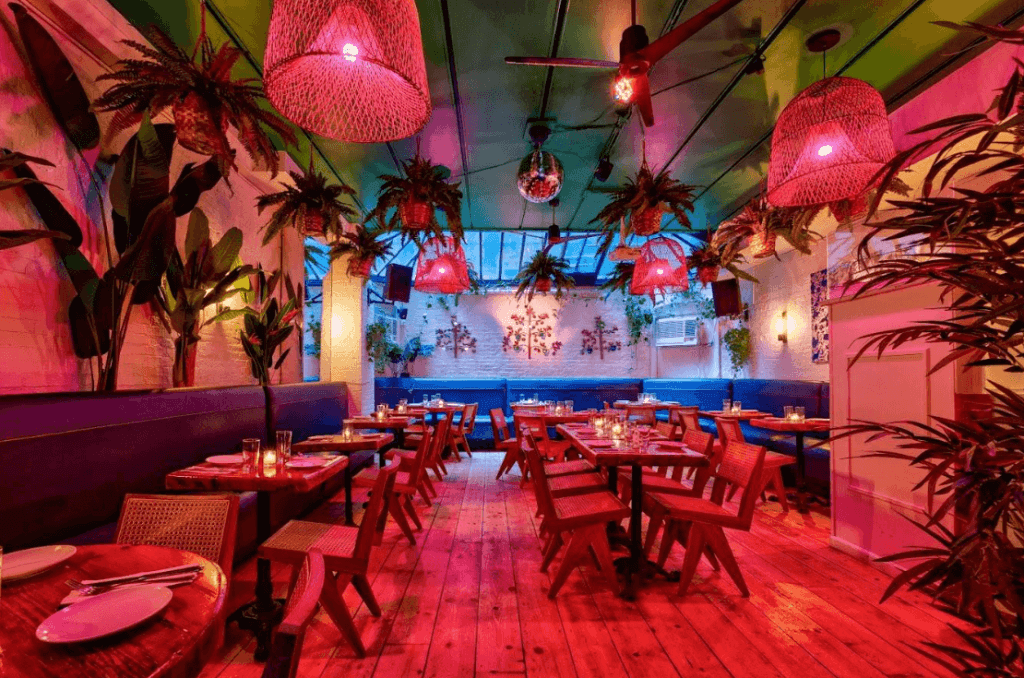 colorfully lit venue decorated with plants