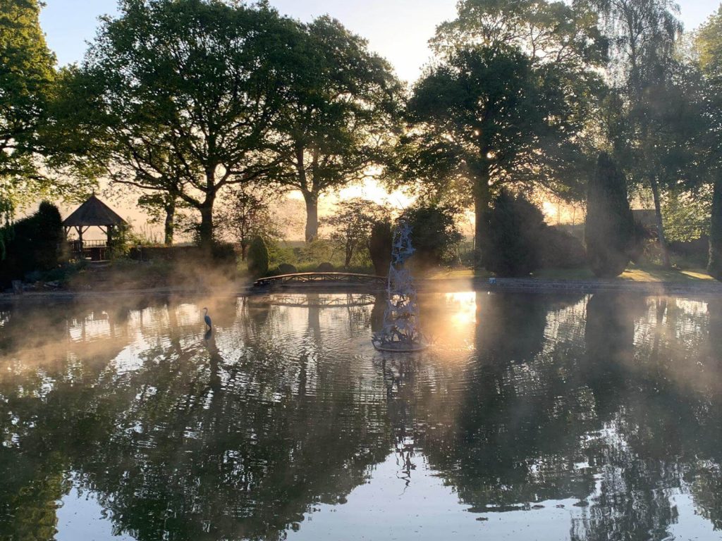 a pond with trees