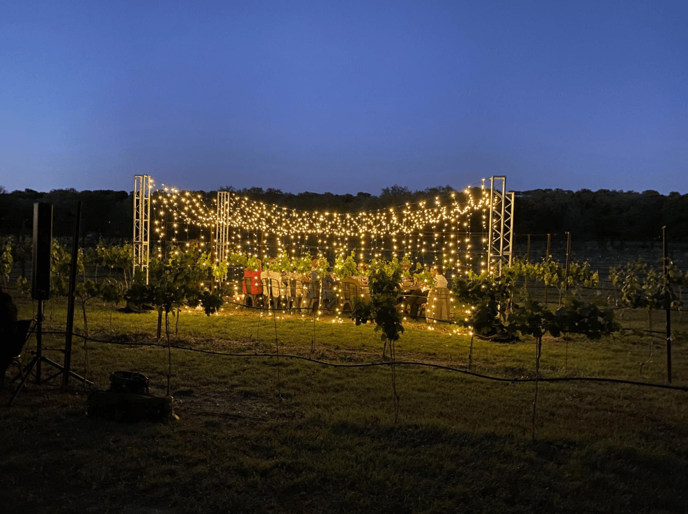 A table set up in a vineyard illuminated by fairy lights