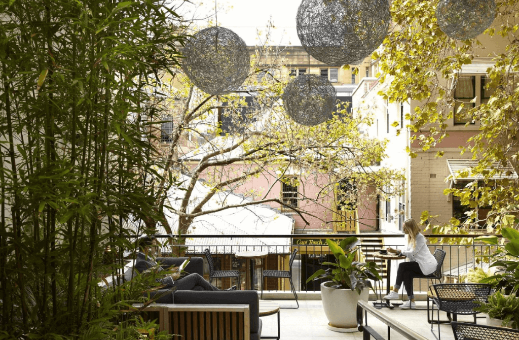 outdoor venue covered by trees