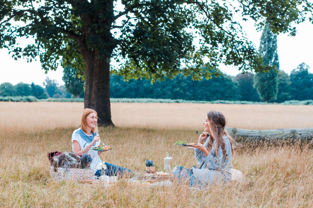 21st birthday picnic