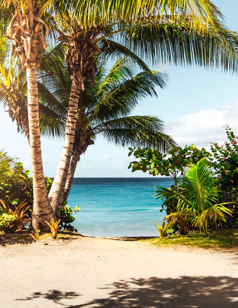 beach birthday party idea- sea view with palm trees and the sand