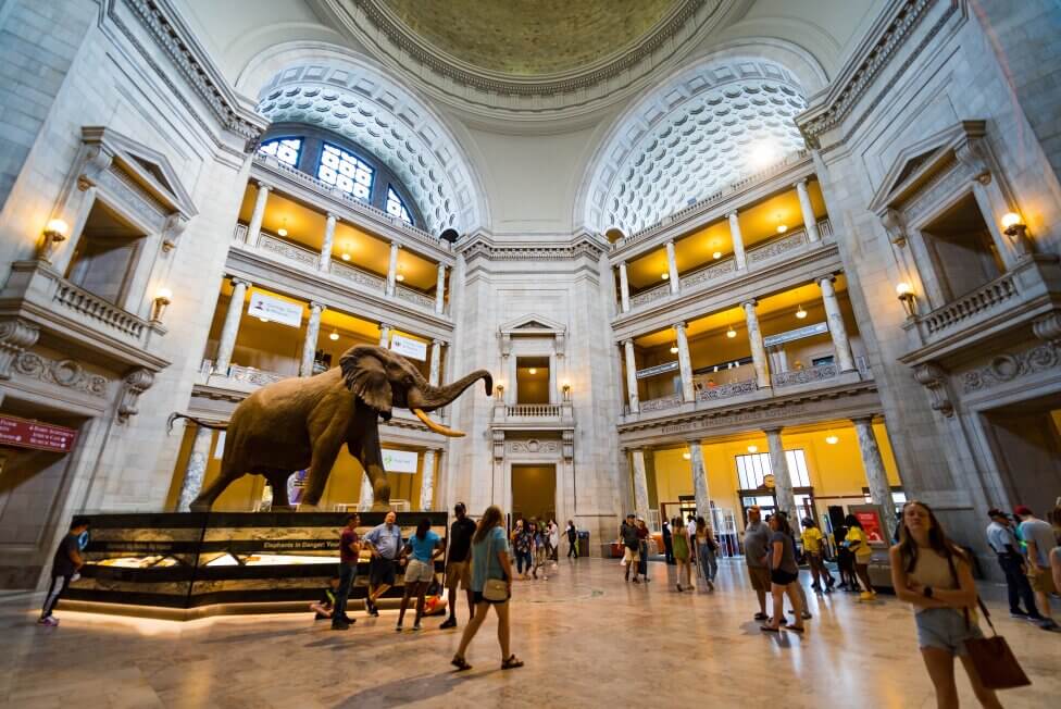 an inside of the Museum of Natural History