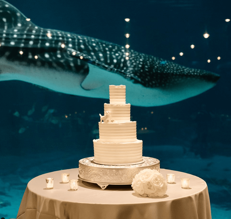 an elegant wedding cake shot against a whale in aquarium