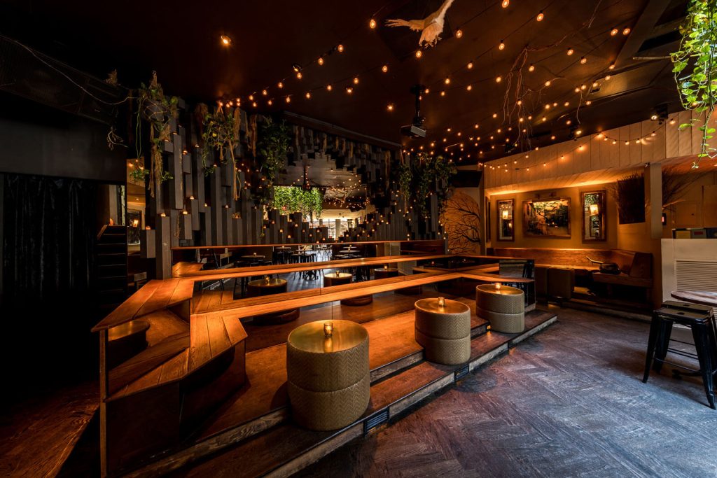 A cozy, dimly lit lounge area decorated with fairy lights and greenery for a fancy group outing in NYC.