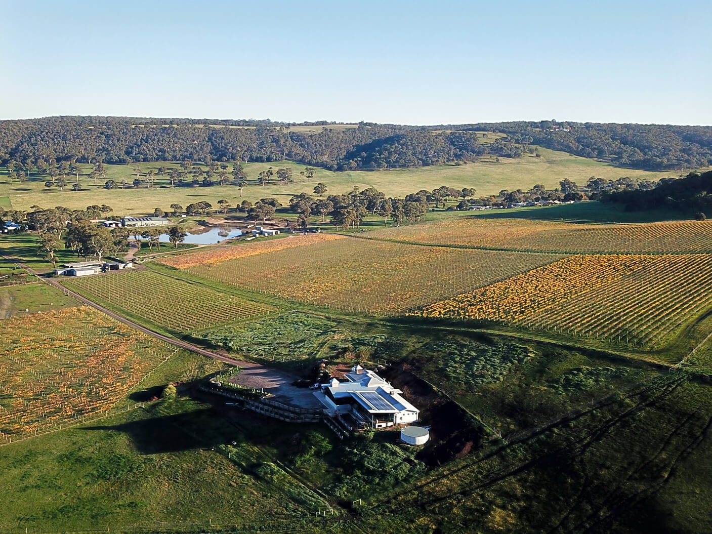 Awesome 40th Birthday Ideas to Try in Melbourne Tagvenue