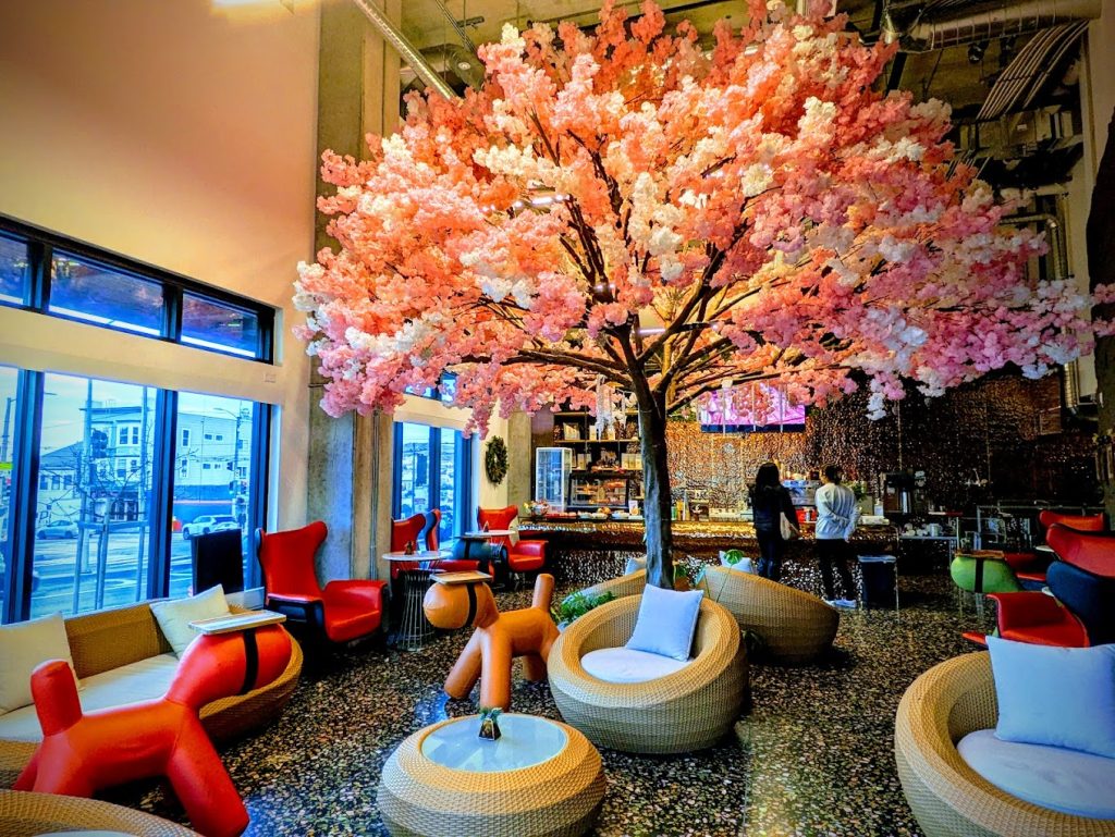 san francisco birthday cafes. brightly decorated cafe for birthdays