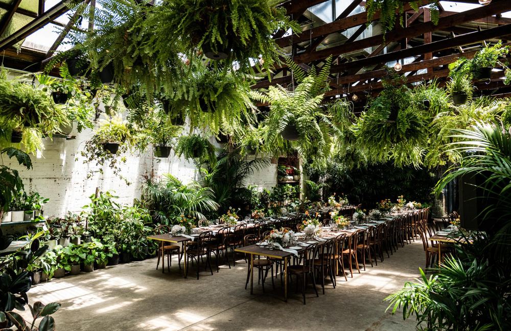Glasshaus Inside, Cremorne