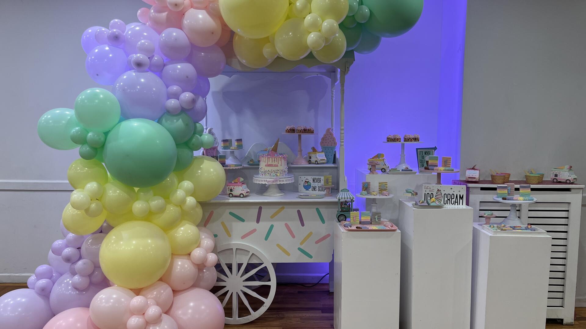 Kids Birthday Party Venues for Rent in Washington, DC