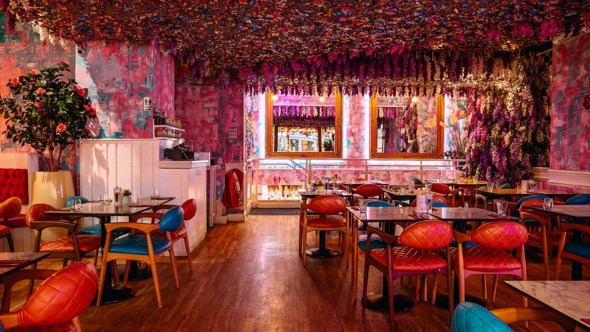 Christmas Party Venues for Hire in Cheltenham