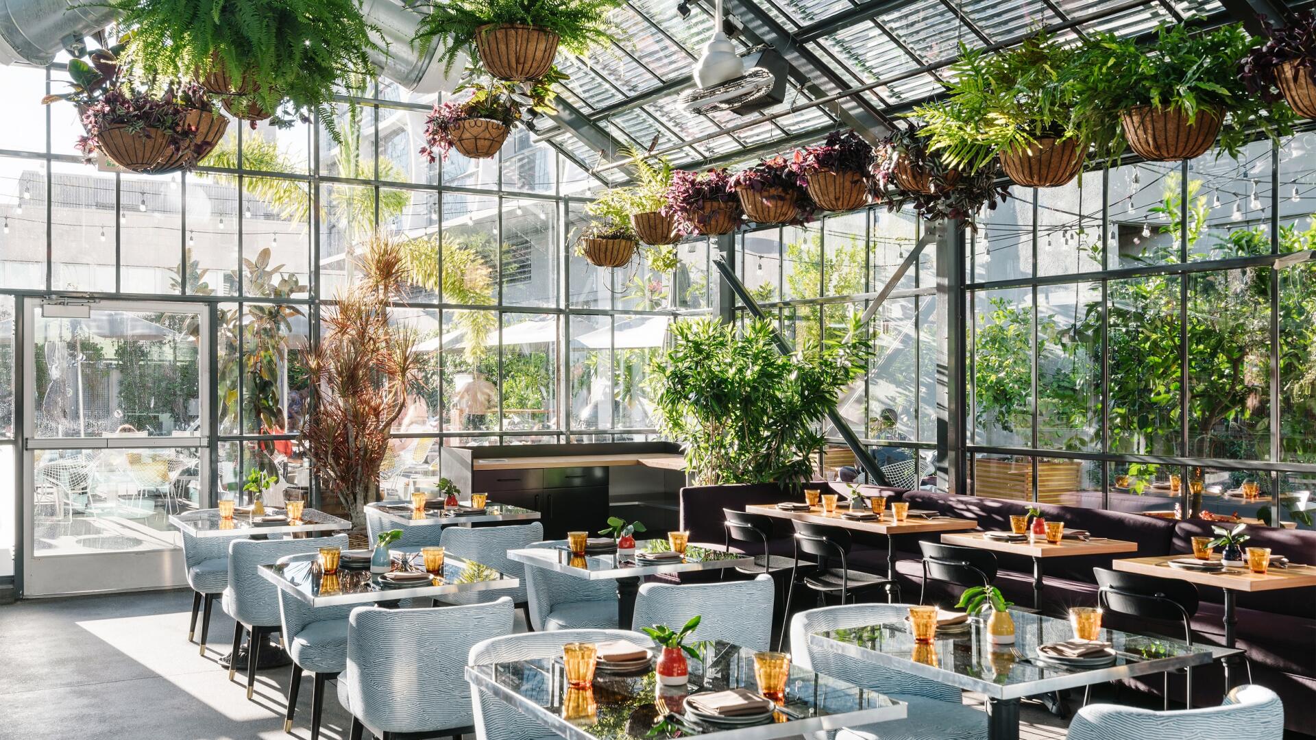 Afternoon Tea Venues for Rent in Dallas, TX