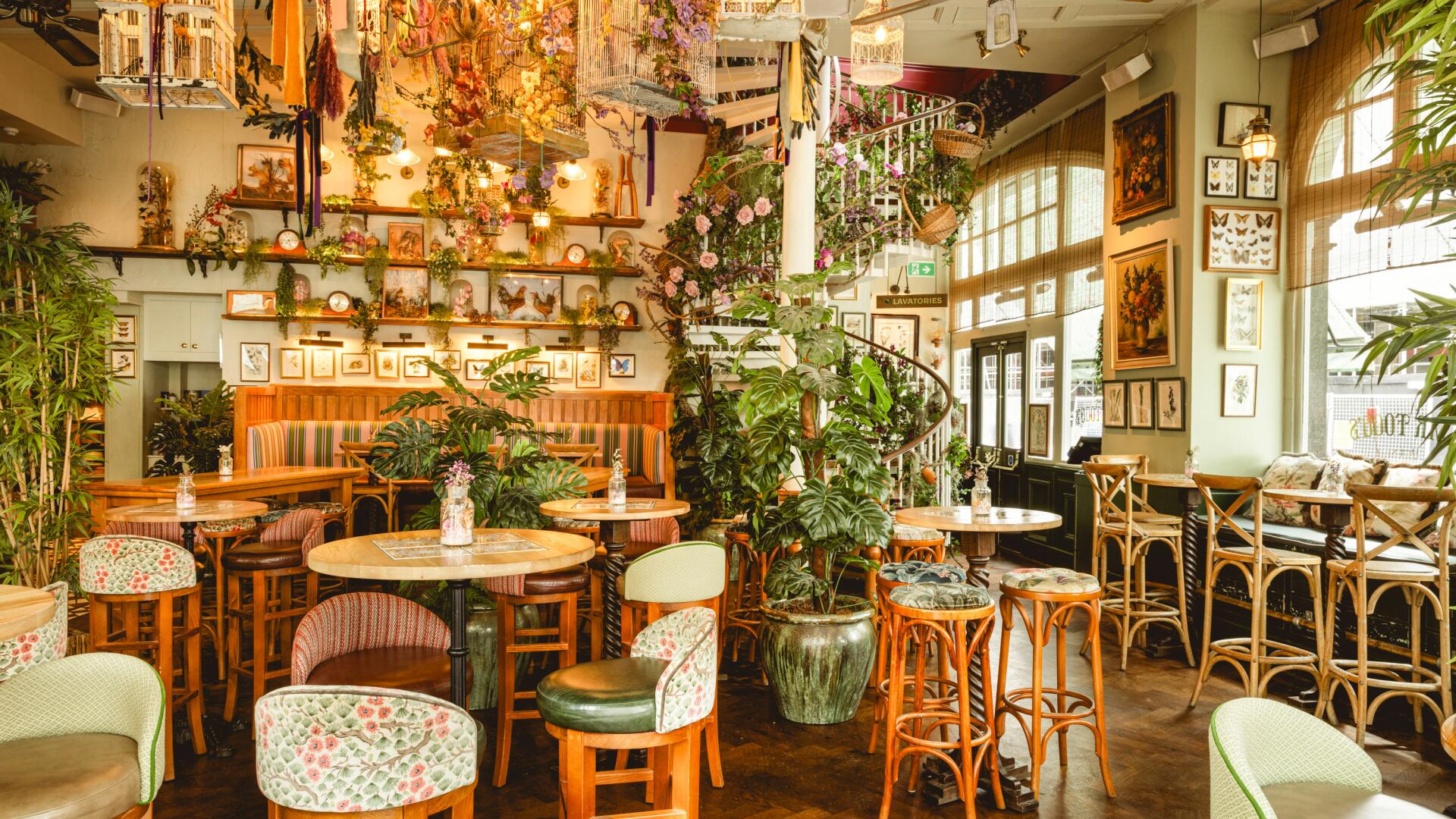 Brunch Restaurants for Rent in Spring Valley, NV