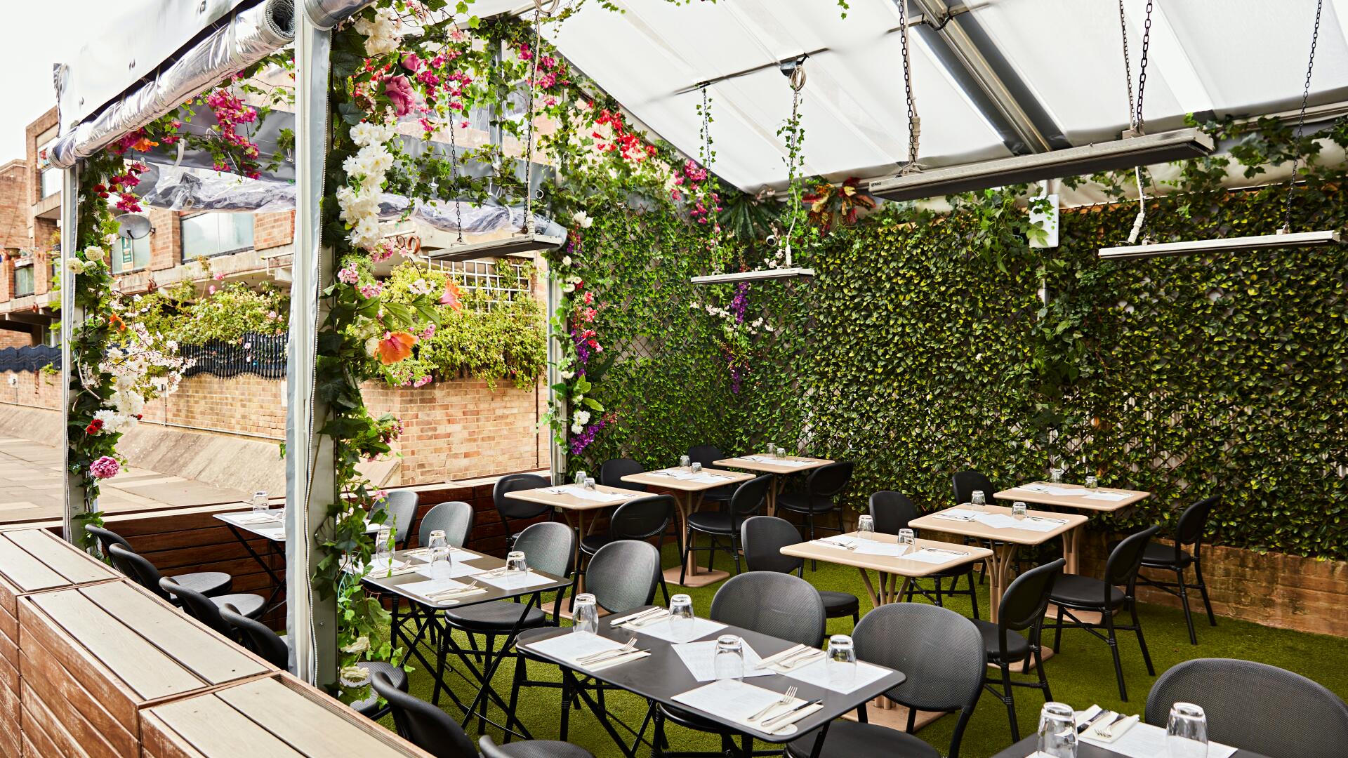 Birthday Packages to Book in Frisco, TX