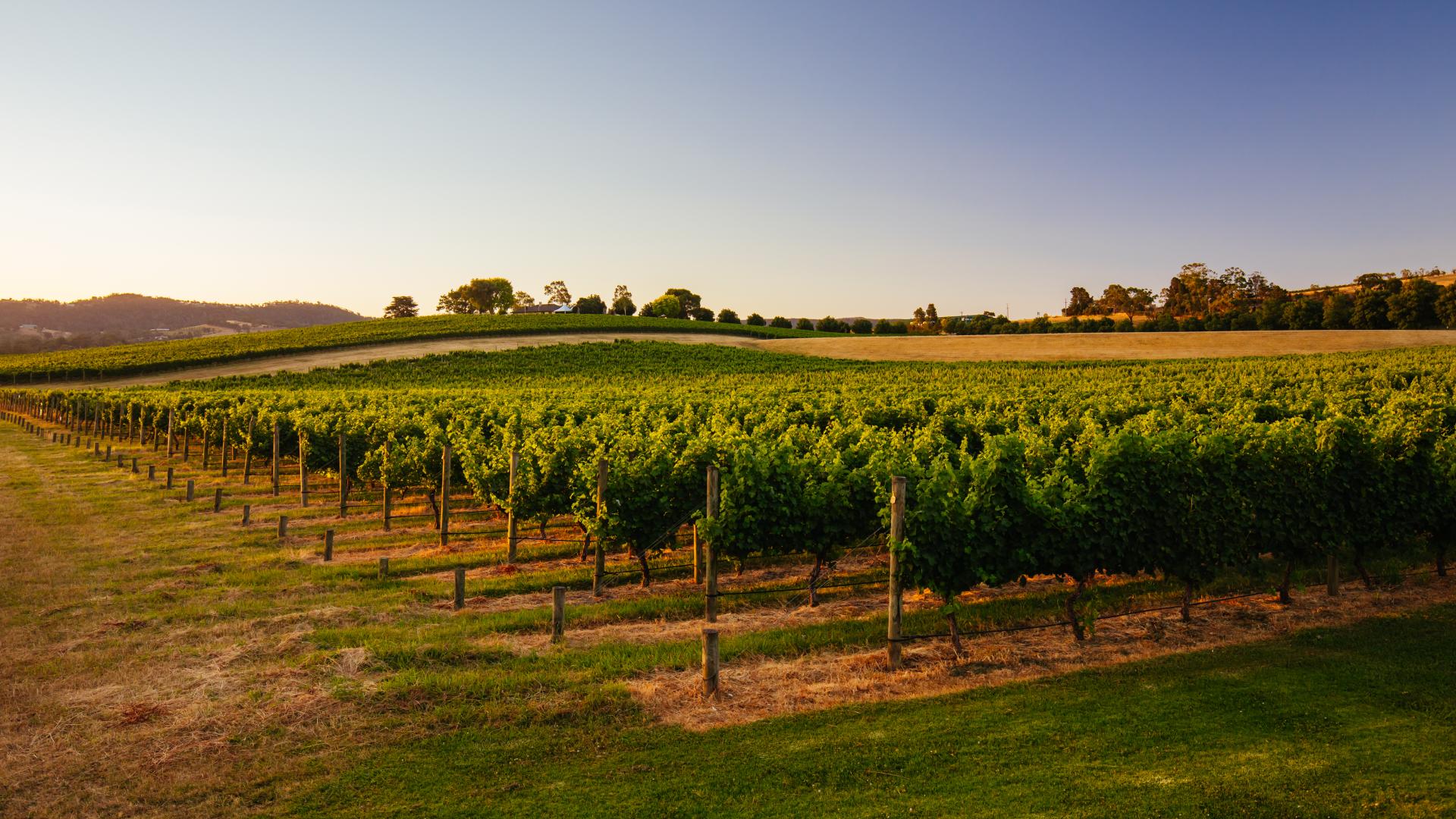 Event Venues for Hire in Yarra Valley