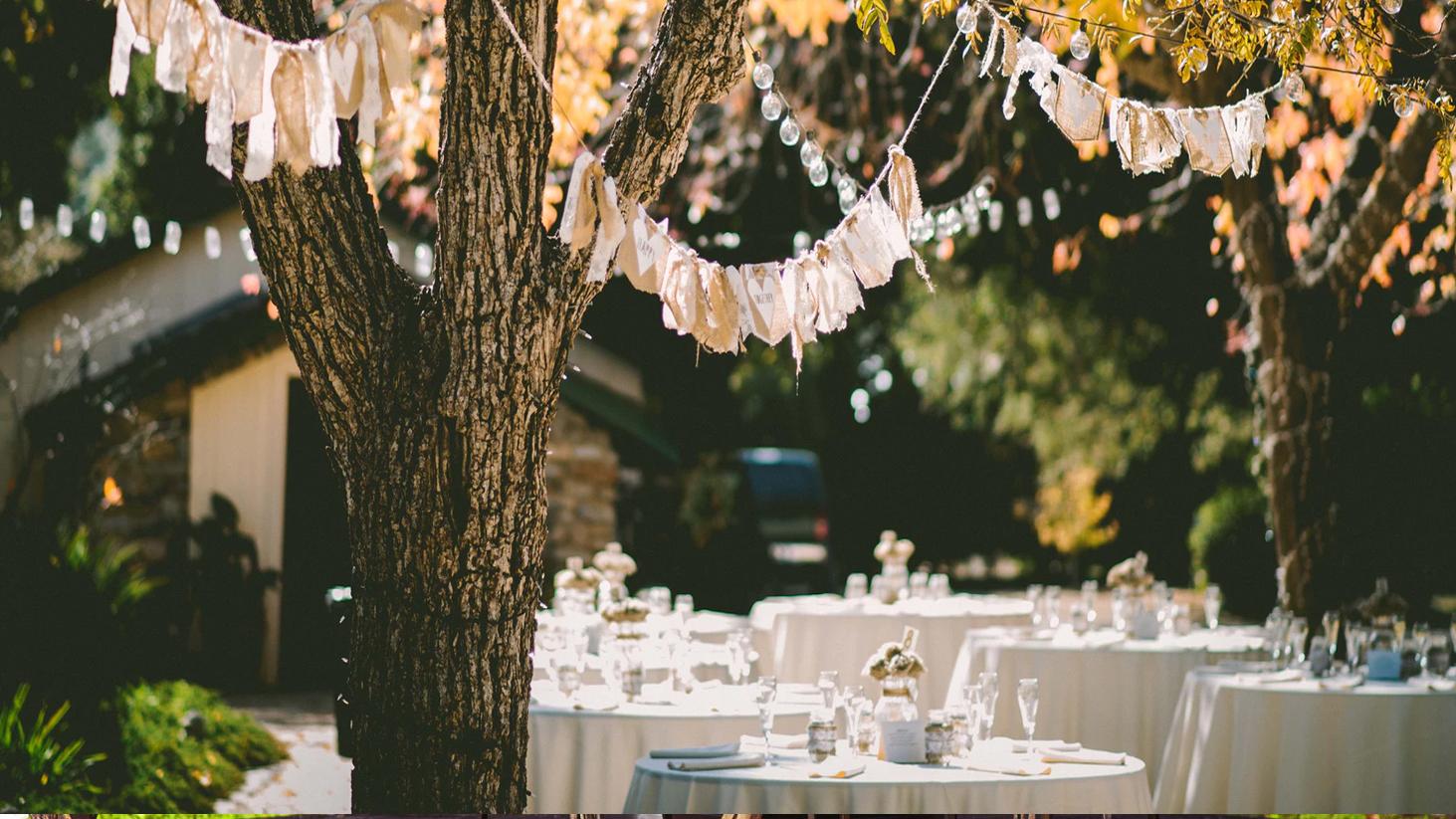 Find your ideal Garden Wedding Venue in Sydney
