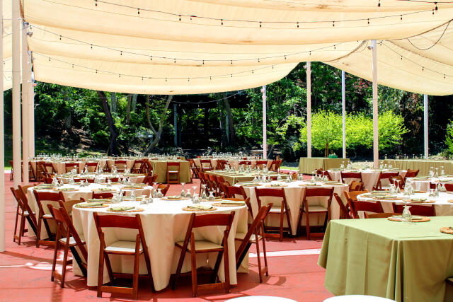 Outdoor Birthday Party Venues in Denver, CO