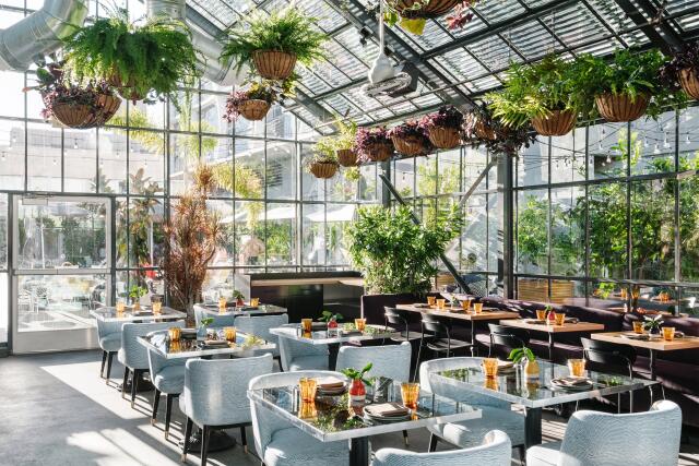 Afternoon Tea Venues in Dallas, TX