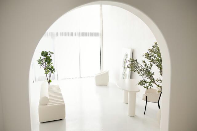 Daylight Studios in Chicago, IL