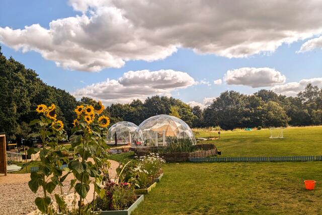 Festival Venues in Birmingham