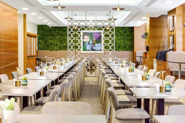 BYO Venues in Chinatown, NY