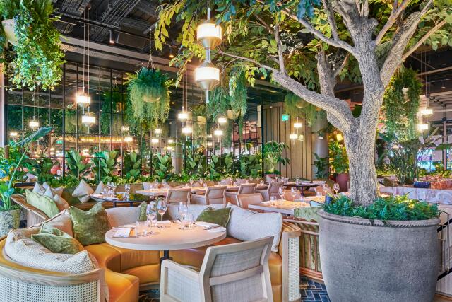 Brunch Restaurants in Northern Quarter