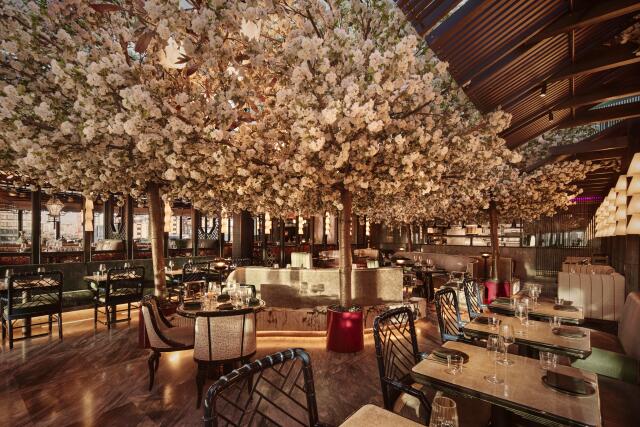 Wedding Restaurants in Alexandria, VA