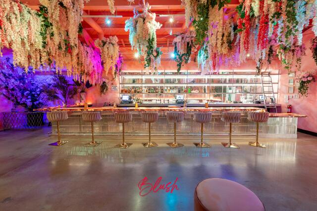 Activity Bars in Brighton