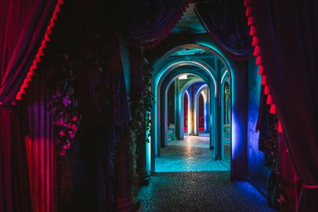 Disco Party Venues in Bethesda, MD