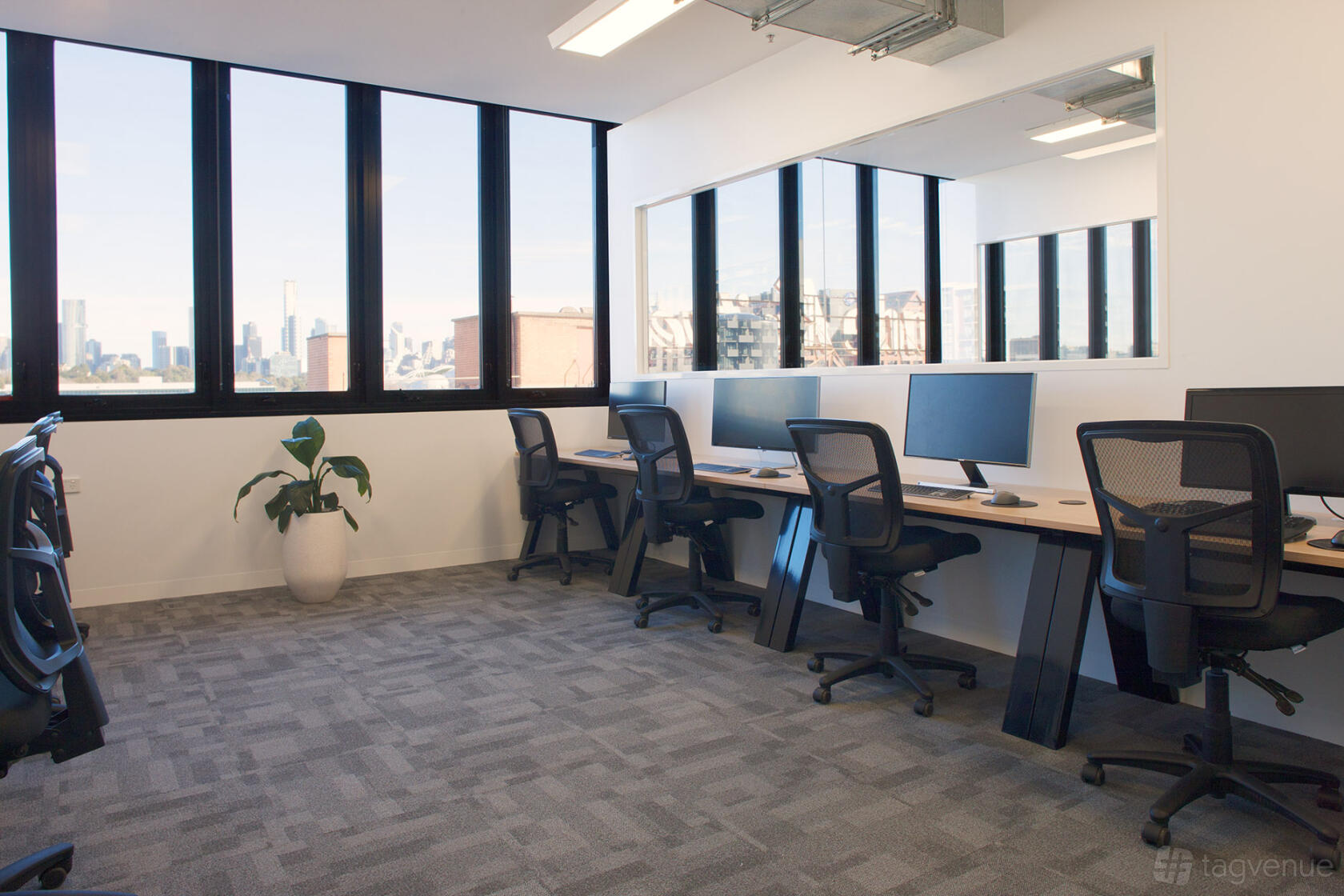 An office space with large windows, multiple workstations, computer monitors, and a potted plant at collective_100.