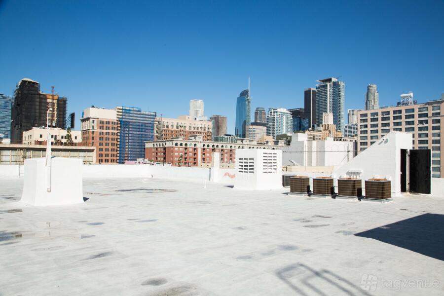 Concrete Jungle Concrete Jungle