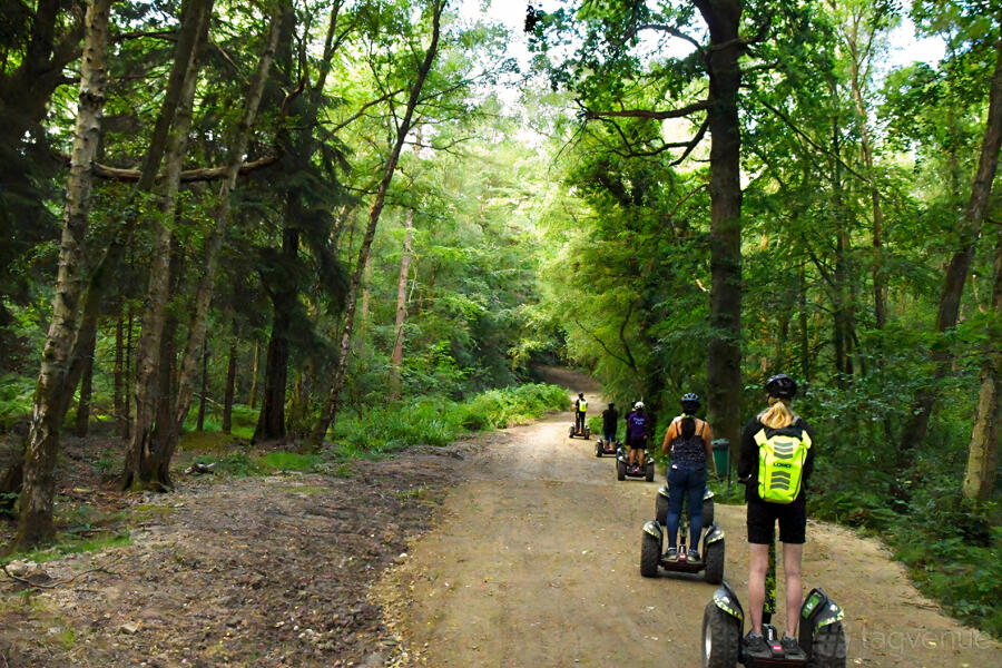 Forest Segway Forest Segway
