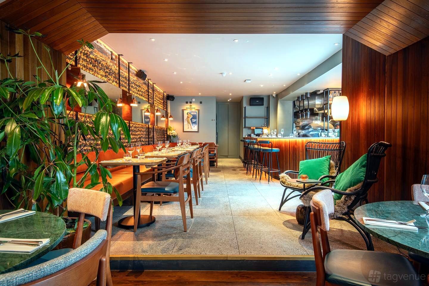A restaurant with banquette seating, indoor plants, and a wood-accented bar at Burnt Orange.