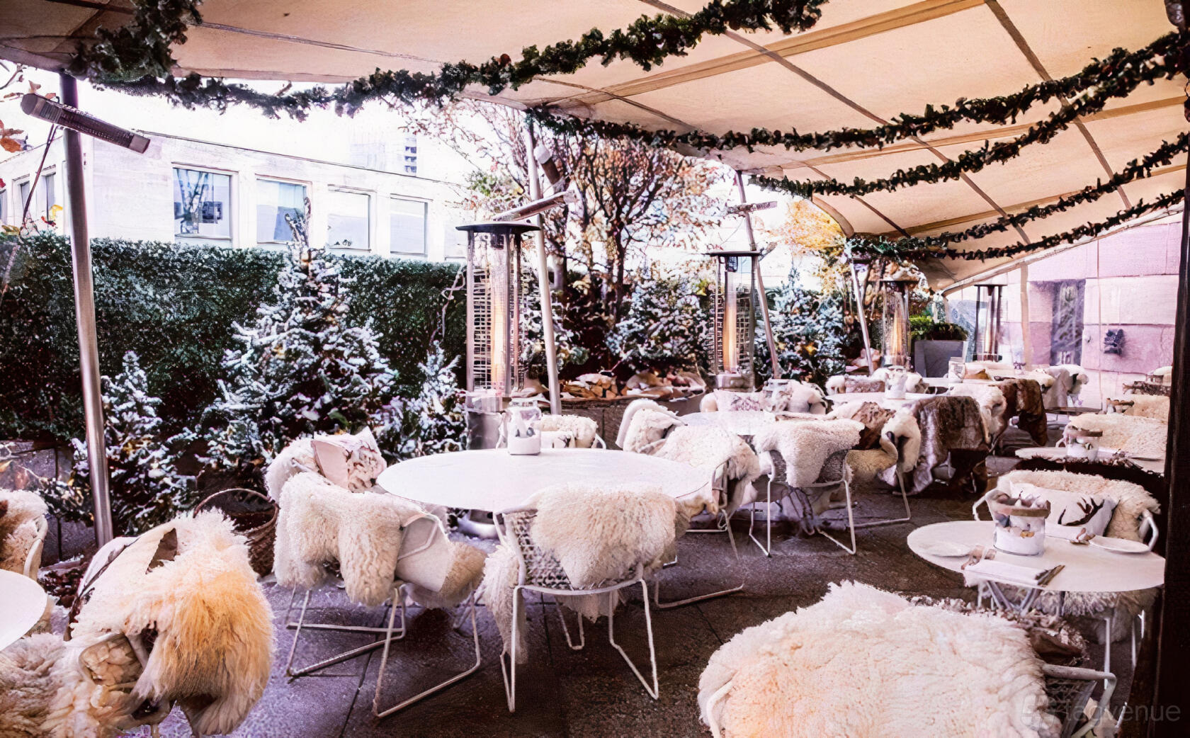 North Terrace Coq D Argent Event Venue Hire Tagvenue North Terrace Coq D Argent Event Venue Hire Tagvenue