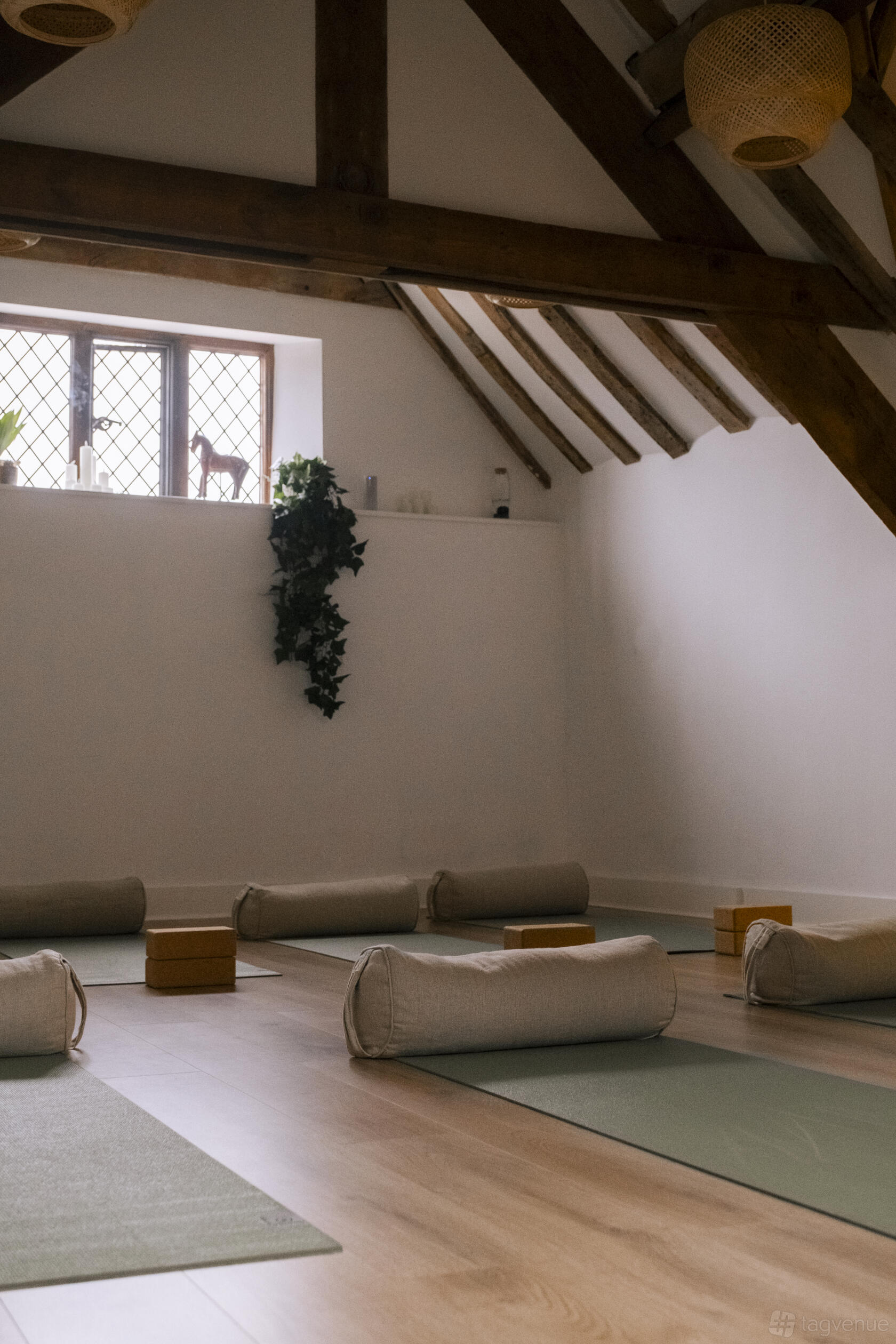 Donkey. Shop Donkey Store Studio - The Oak House Studio & Therapies - Event Venue ...