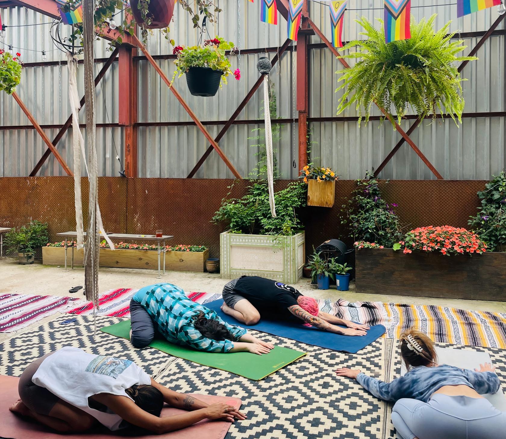 A covered courtyard terrace with patterned rugs, yoga mats, potted plants, and hanging ferns at BKE Kombucha.