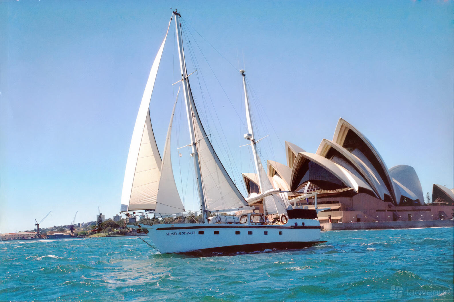 A sailing yacht with white sails cruising near the Sydney Opera House on the Sydney Sundancer.