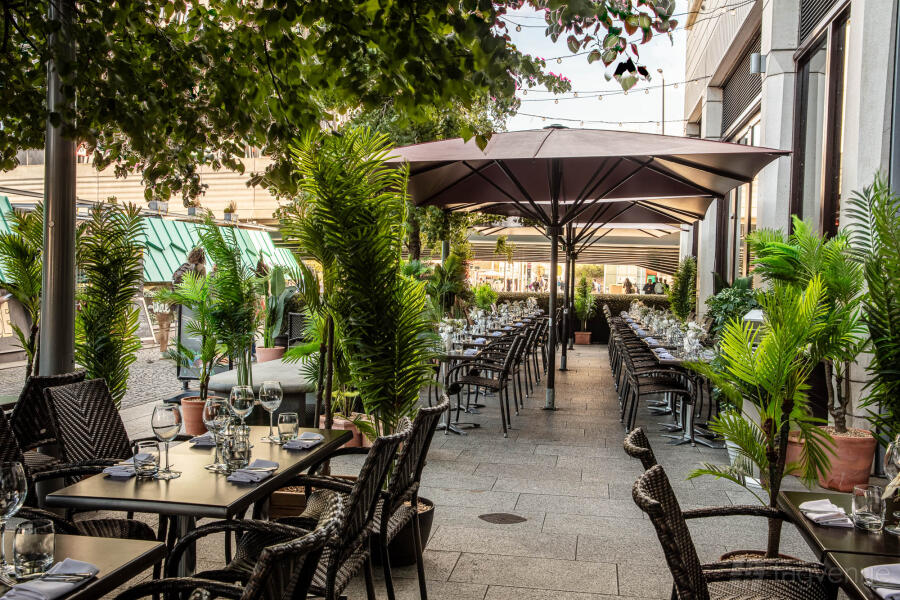 Terrace Terrace