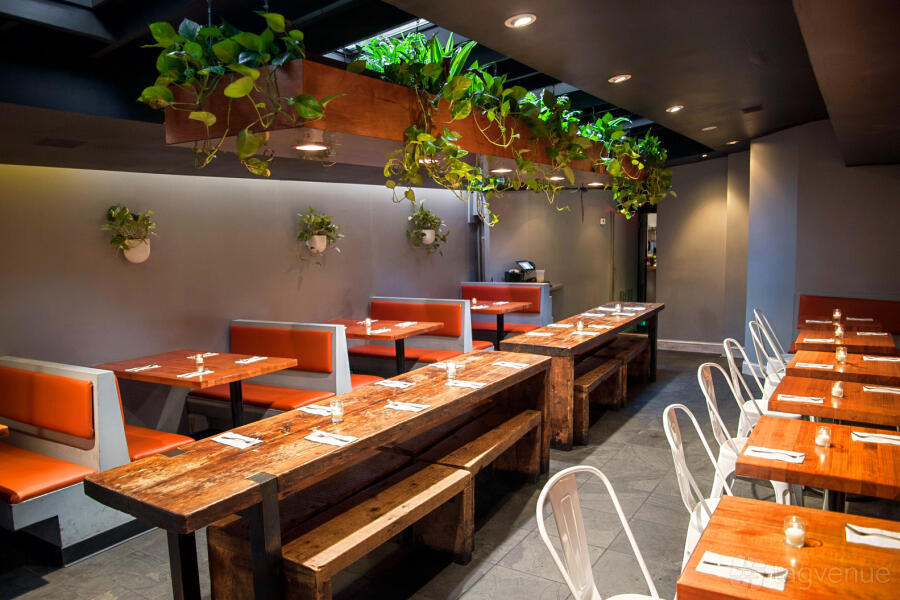 Back Section Back Section