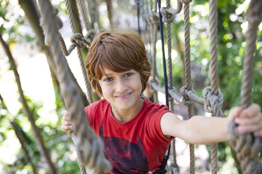 Treetop Adventure Treetop Adventure