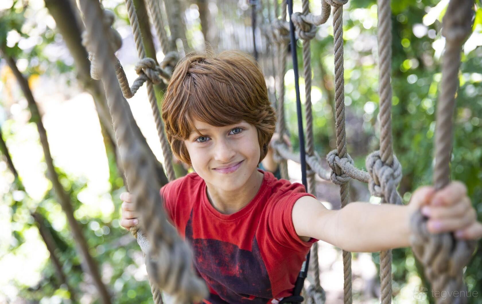 An outdoor adventure area with rope bridges and climbing features among trees at Go Ape Moors Valley.