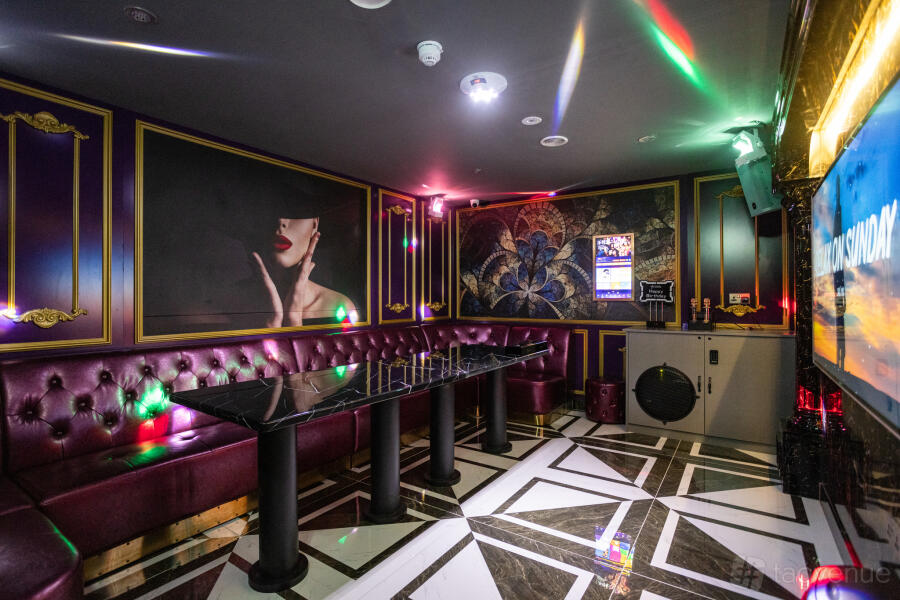 Karaoke/Party Room Deluxe 303 at