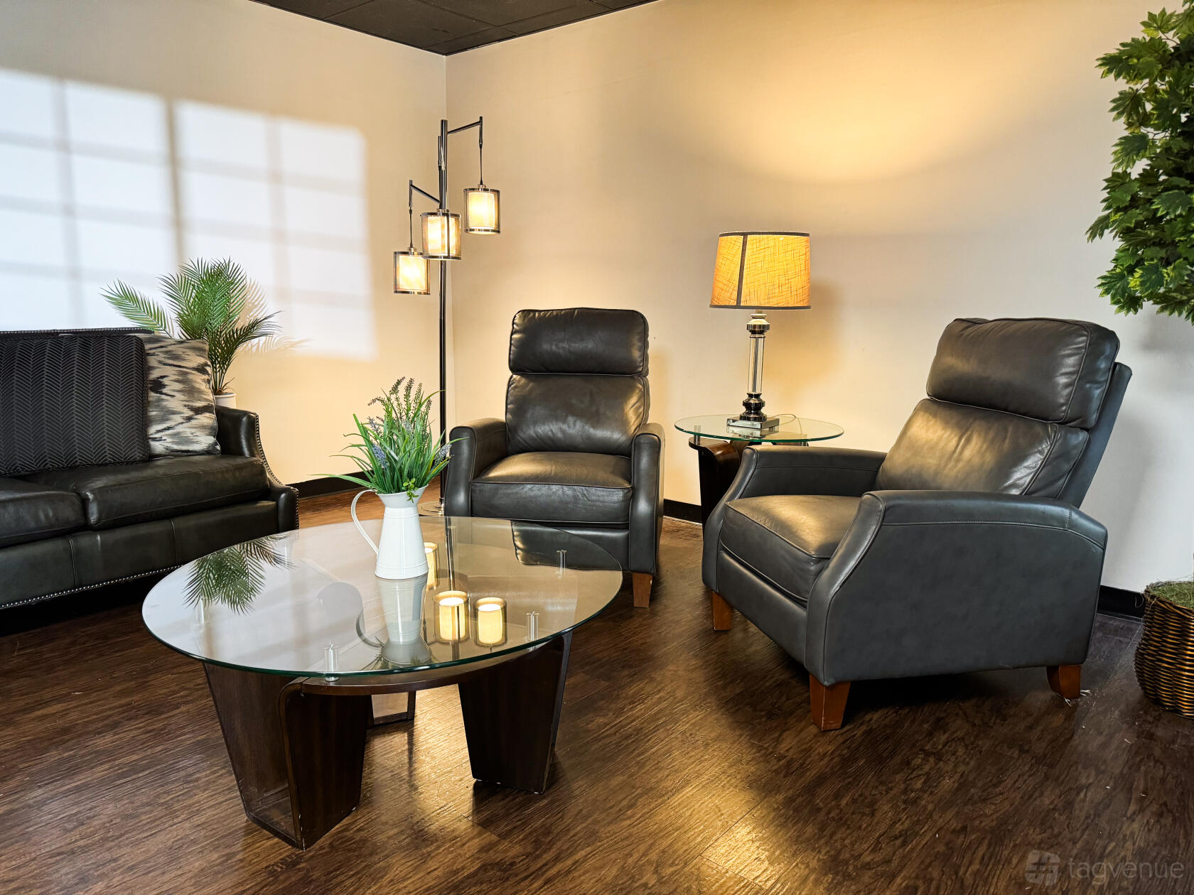A photo studio with leather armchairs, glass coffee table, potted plants, and floor lamps at Lens Head Studios.