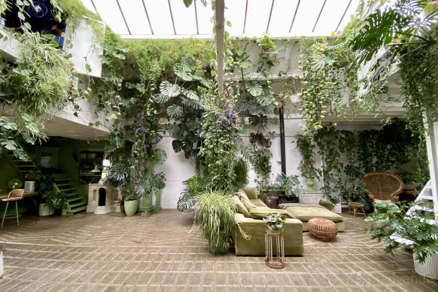 Plant filled Photo Studio Plant filled Photo Studio