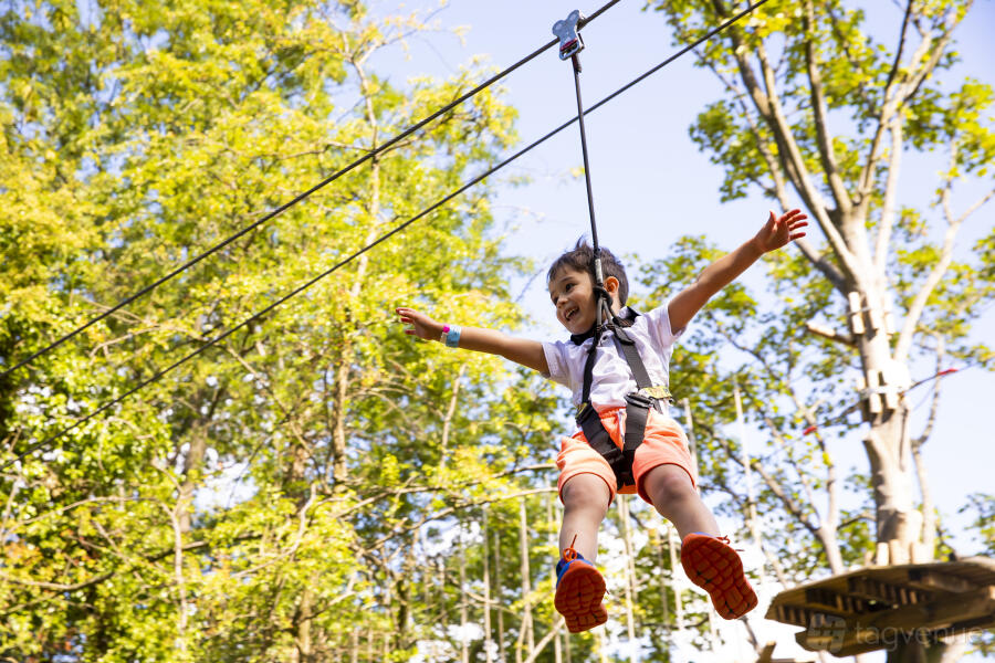 Treetop Adventure Treetop Adventure