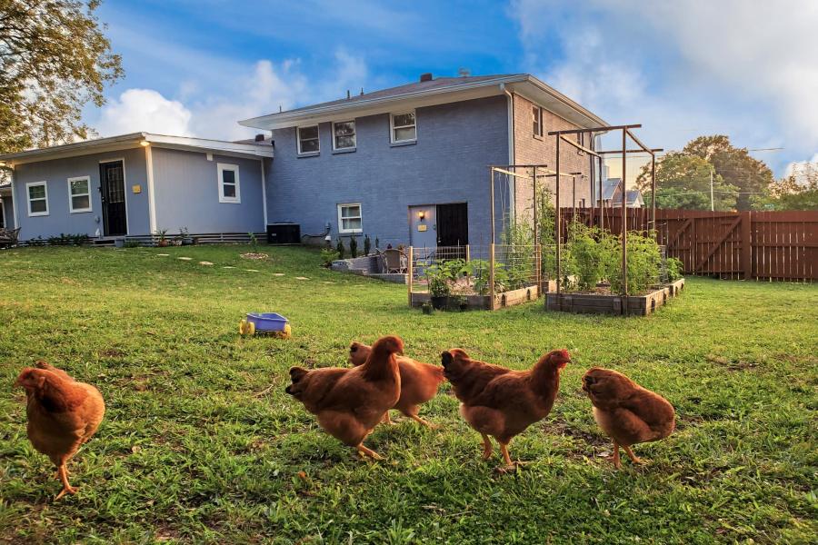 Whole House Whole House