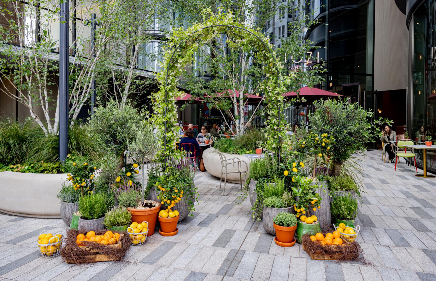 An outdoor hotel terrace with potted citrus trees, baskets of oranges, and seating beneath red umbrellas at art'otel London Battersea Power Station.